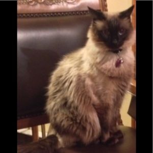 🤔😭My Momma wants 2 trade me 4 LV Speedy25 🤭🤣